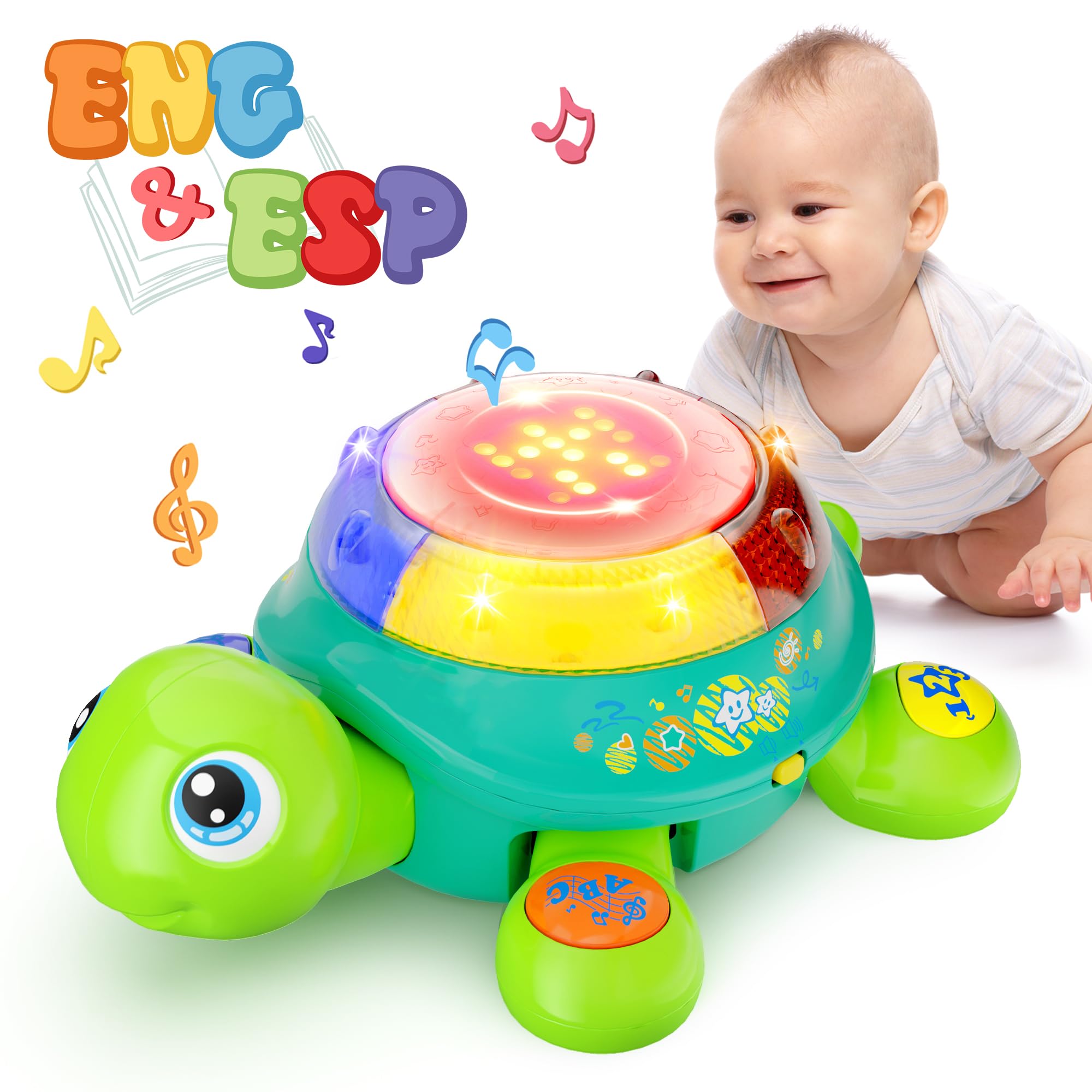 iPlay, iLearn Baby Musical Turtle Toy