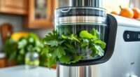top leafy green juicers