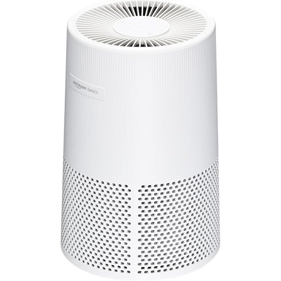 affordable hepa air purifier