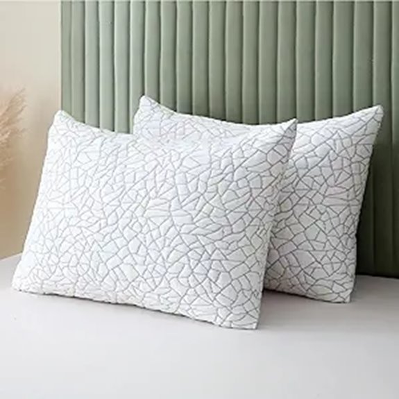 BPC Bamboo Rayon Queen Pillows (Set of 2)