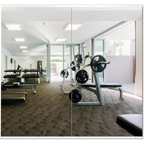 Delma Home Gym Mirror 54x30 Frameless Wall-Mounted