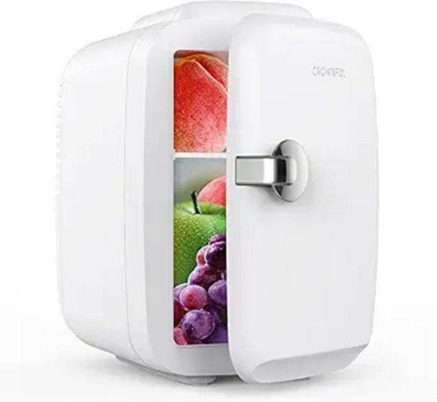 CROWNFUL Mini Fridge 4L Portable Cooler & Warmer