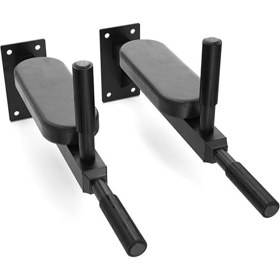 Synergee Wall Mount Dip Station for Upper Body Fitness