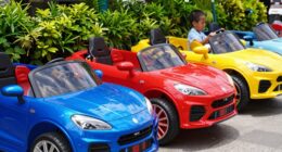 best dual battery cars