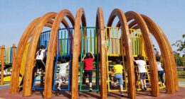 top wooden climbing arches