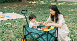 7 Best Toddler Picnic Wagon in 2026 — The Ultimate Buyer’s Guide