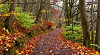 adapting paths seasonally