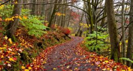 adapting paths seasonally