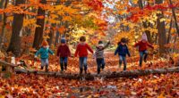 fall leaf track adventure
