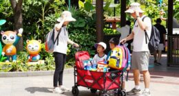 stroller wagon zoo essentials