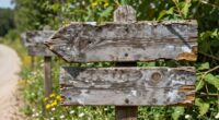 stylish natural wooden markers