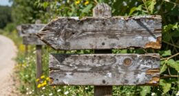stylish natural wooden markers