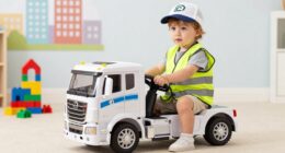 vehicle play enhances cognition