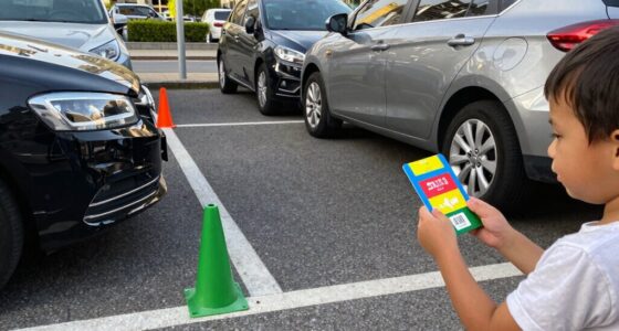 visual cues improve parking