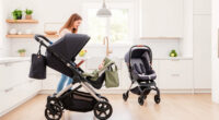 Best UPPAbaby / Nuna Strollers in 2026: Ranked