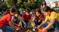 Bogotá Youths Engage In Treasure Hunts For City Development